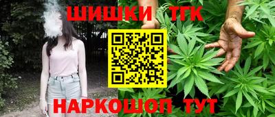 СК Дубна
