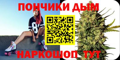 СК Дубна