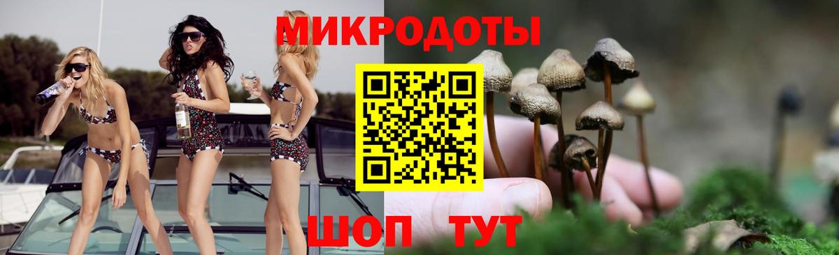 Галлюциногенные грибы GOLDEN TEACHER  Вход с VPN  Миллерово  Псилоцибиновые грибы GOLDEN TEACHER 